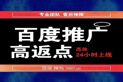 成功案例揭秘：百度包年竞价如何助力企业增长